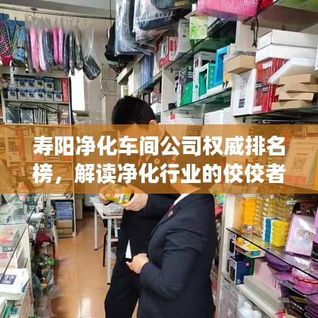 乡村风格案例 第9页