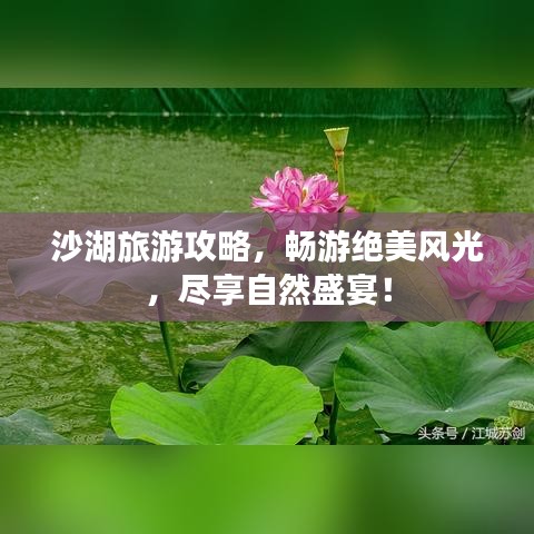 沙湖旅游攻略，畅游绝美风光，尽享自然盛宴！