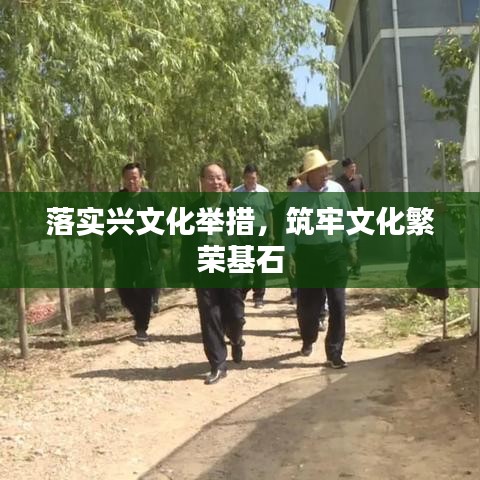 落实兴文化举措，筑牢文化繁荣基石