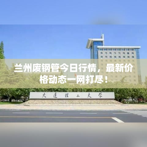 设计师团队 第7页