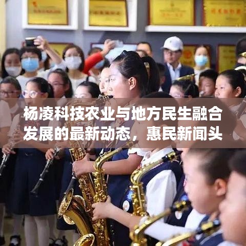 杨凌科技农业与地方民生融合发展的最新动态，惠民新闻头条