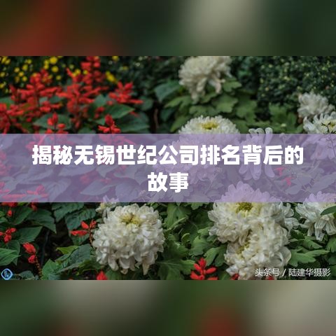 揭秘无锡世纪公司排名背后的故事