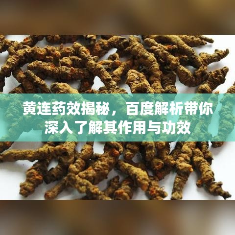 在线咨询 第7页