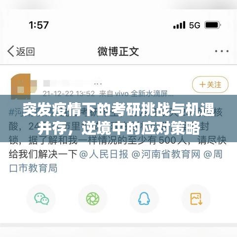 设计风格指南 第5页