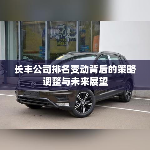 长丰公司排名变动背后的策略调整与未来展望