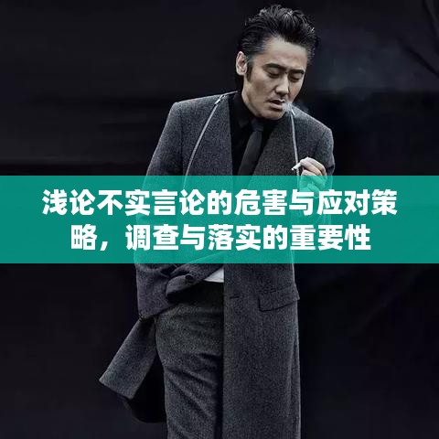 浅论不实言论的危害与应对策略，调查与落实的重要性