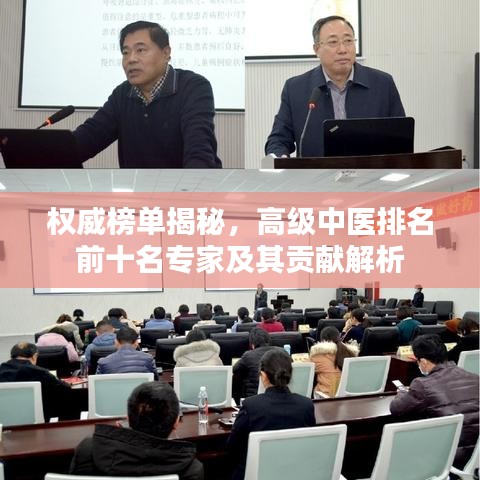 权威榜单揭秘，高级中医排名前十名专家及其贡献解析