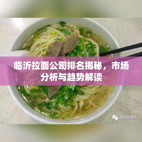 临沂拉面公司排名揭秘，市场分析与趋势解读