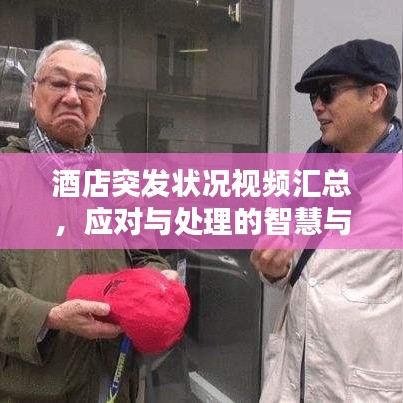 酒店突发状况视频汇总，应对与处理的智慧与艺术