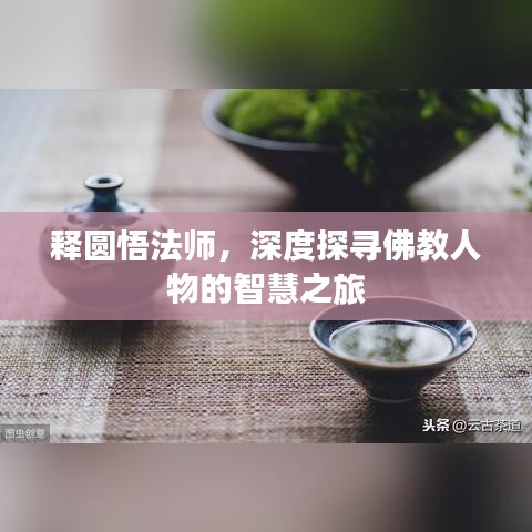 释圆悟法师，深度探寻佛教人物的智慧之旅
