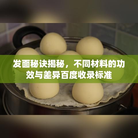 发面秘诀揭秘，不同材料的功效与差异百度收录标准