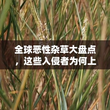 全球恶性杂草大盘点，这些入侵者为何上榜？