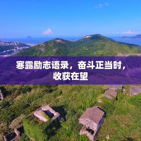 寒露励志语录，奋斗正当时，收获在望