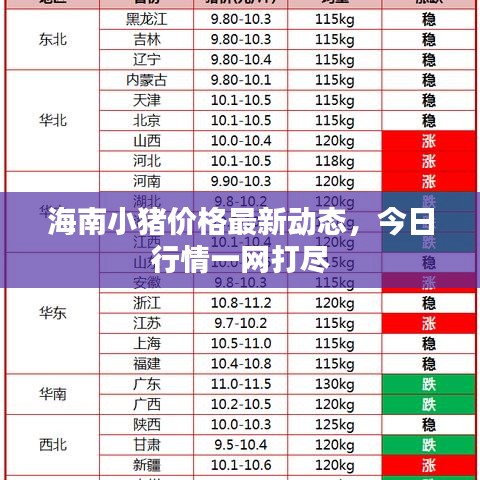海南小猪价格最新动态，今日行情一网打尽