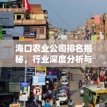 海口农业公司排名揭秘，行业深度分析与趋势预测