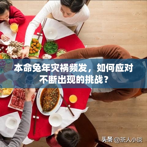 本命兔年灾祸频发，如何应对不断出现的挑战？