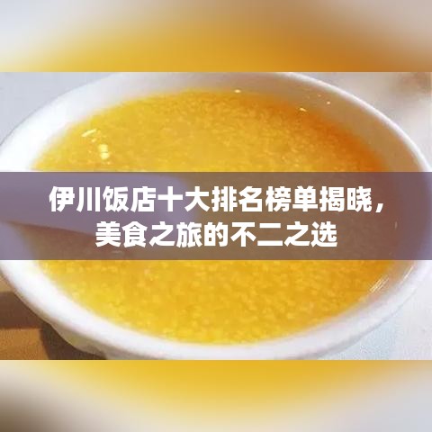 伊川饭店十大排名榜单揭晓，美食之旅的不二之选
