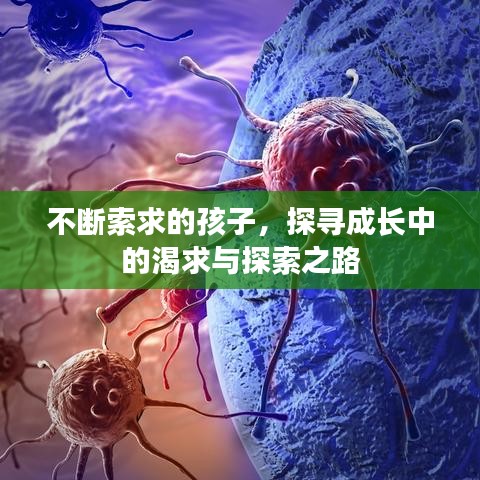 不断索求的孩子，探寻成长中的渴求与探索之路