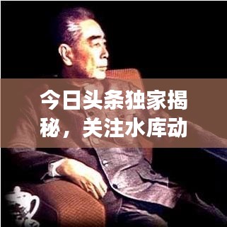 今日头条独家揭秘，关注水库动态，最新43座水库实时更新资讯速递