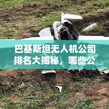 巴基斯坦无人机公司排名大揭秘，哪些公司独占鳌头？