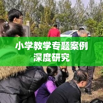 小学教学专题案例深度研究