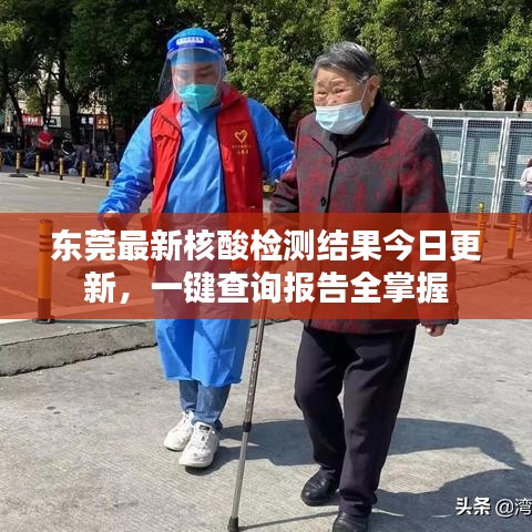 东莞最新核酸检测结果今日更新，一键查询报告全掌握
