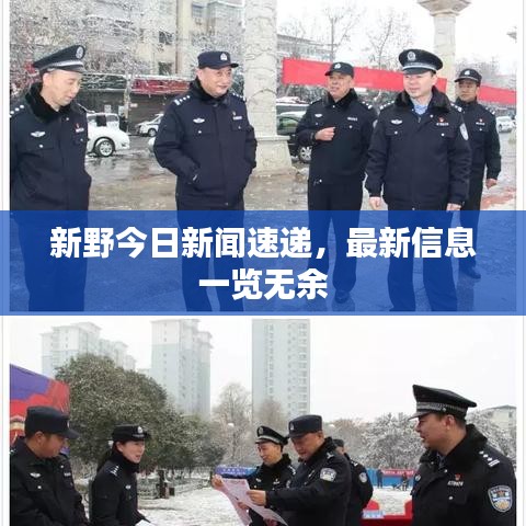 新野今日新闻速递，最新信息一览无余