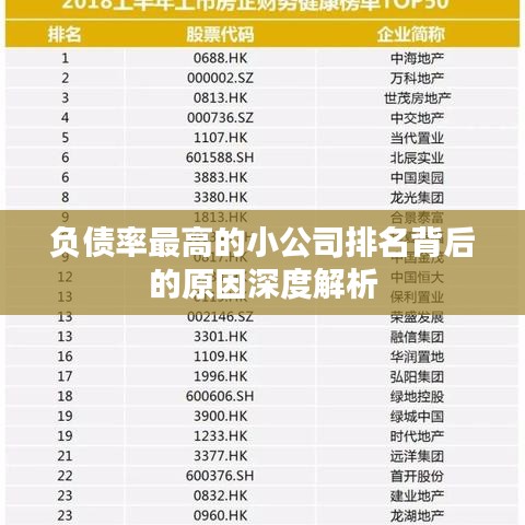 负债率最高的小公司排名背后的原因深度解析