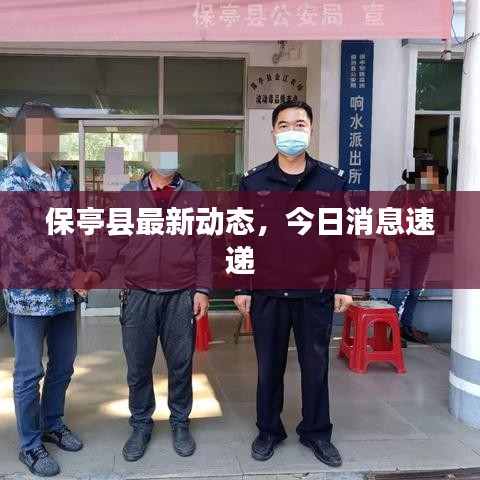 保亭县最新动态，今日消息速递