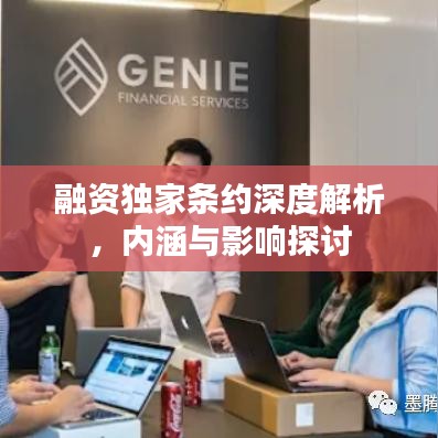 融资独家条约深度解析，内涵与影响探讨