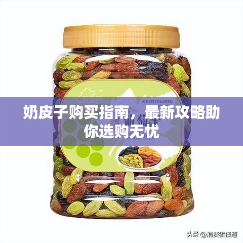 奶皮子购买指南，最新攻略助你选购无忧