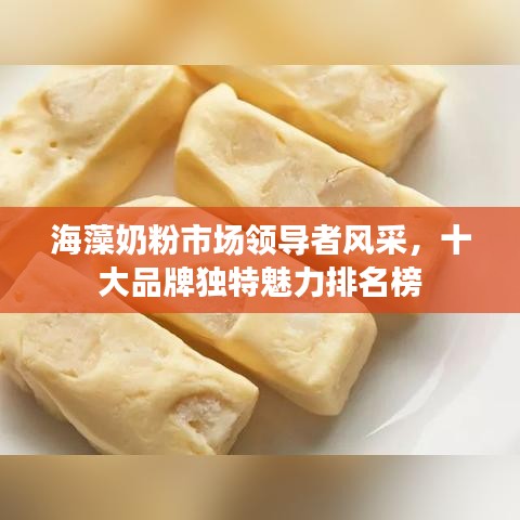 海藻奶粉市场领导者风采，十大品牌独特魅力排名榜