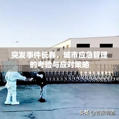 突发事件长春，城市应急管理的考验与应对策略