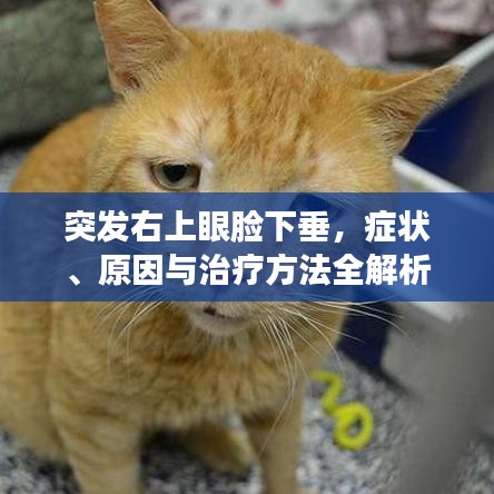 突发右上眼脸下垂，症状、原因与治疗方法全解析