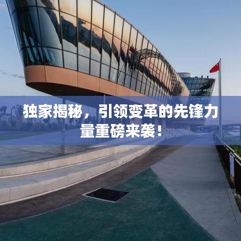 独家揭秘，引领变革的先锋力量重磅来袭！