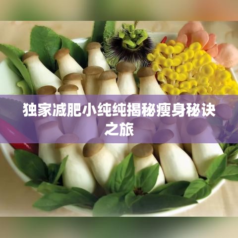 独家减肥小纯纯揭秘瘦身秘诀之旅
