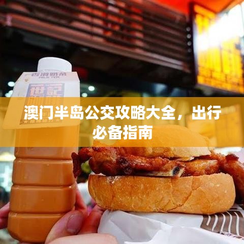 澳门半岛公交攻略大全，出行必备指南