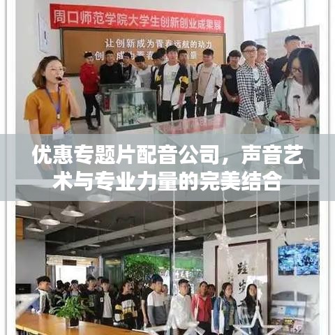 优惠专题片配音公司，声音艺术与专业力量的完美结合