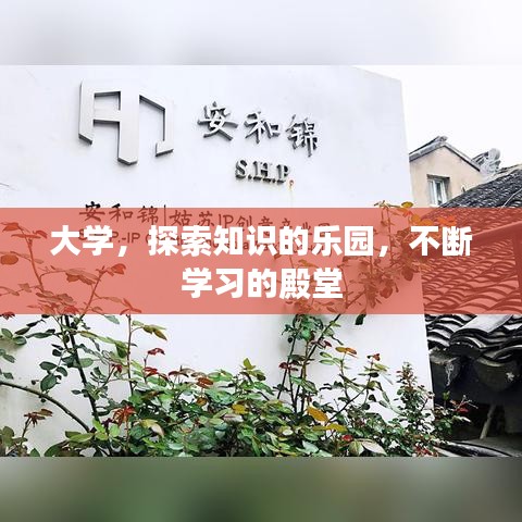 大学，探索知识的乐园，不断学习的殿堂