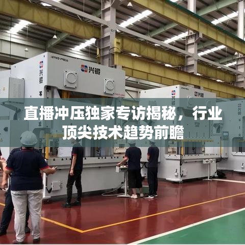直播冲压独家专访揭秘，行业顶尖技术趋势前瞻