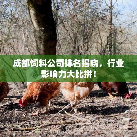 成都饲料公司排名揭晓，行业影响力大比拼！