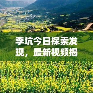 李坑今日探索发现，最新视频揭秘！