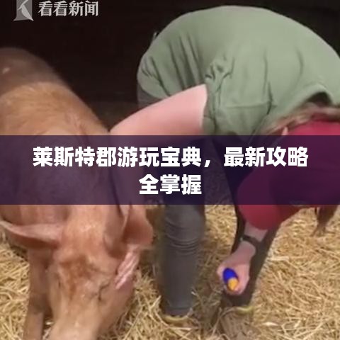 莱斯特郡游玩宝典，最新攻略全掌握