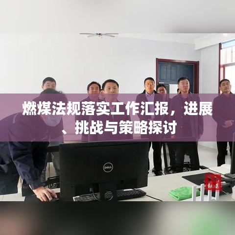 燃煤法规落实工作汇报，进展、挑战与策略探讨