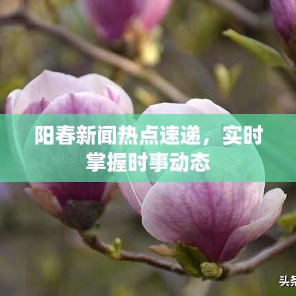 阳春新闻热点速递，实时掌握时事动态