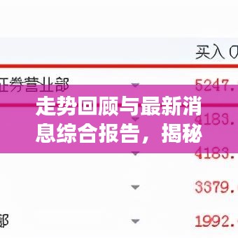 走势回顾与最新消息综合报告，揭秘市场动向