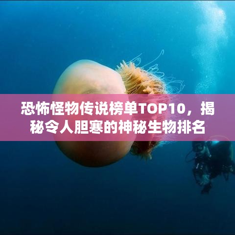 设计师团队 第3页