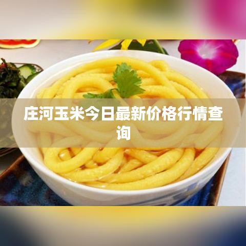 设计风格指南 第3页