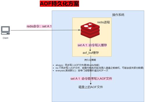 中古版本,持久方案设计_体验版_v8.302