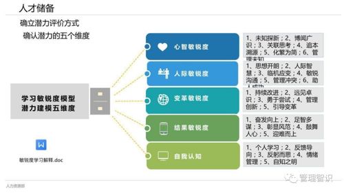 dsm系统官方下载,实践策略实施解析|投资版_v10.687